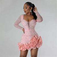 Mesh Sleeve pearl Dress